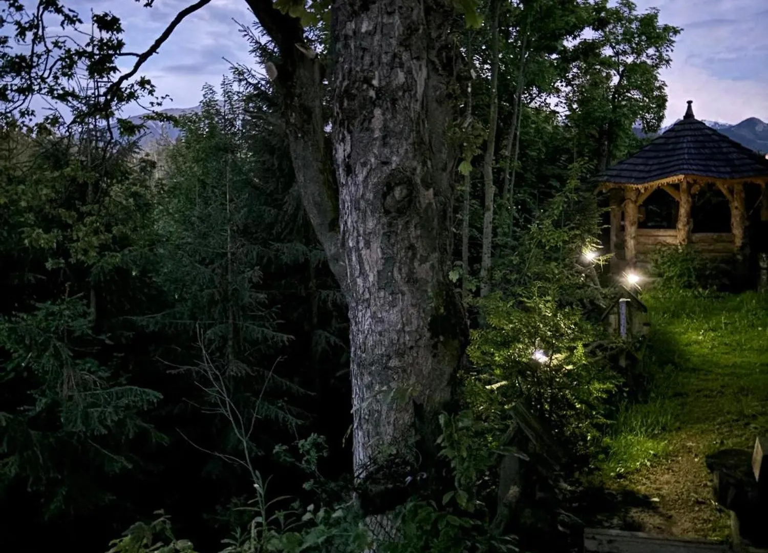Arcychata Zakopane Chalet